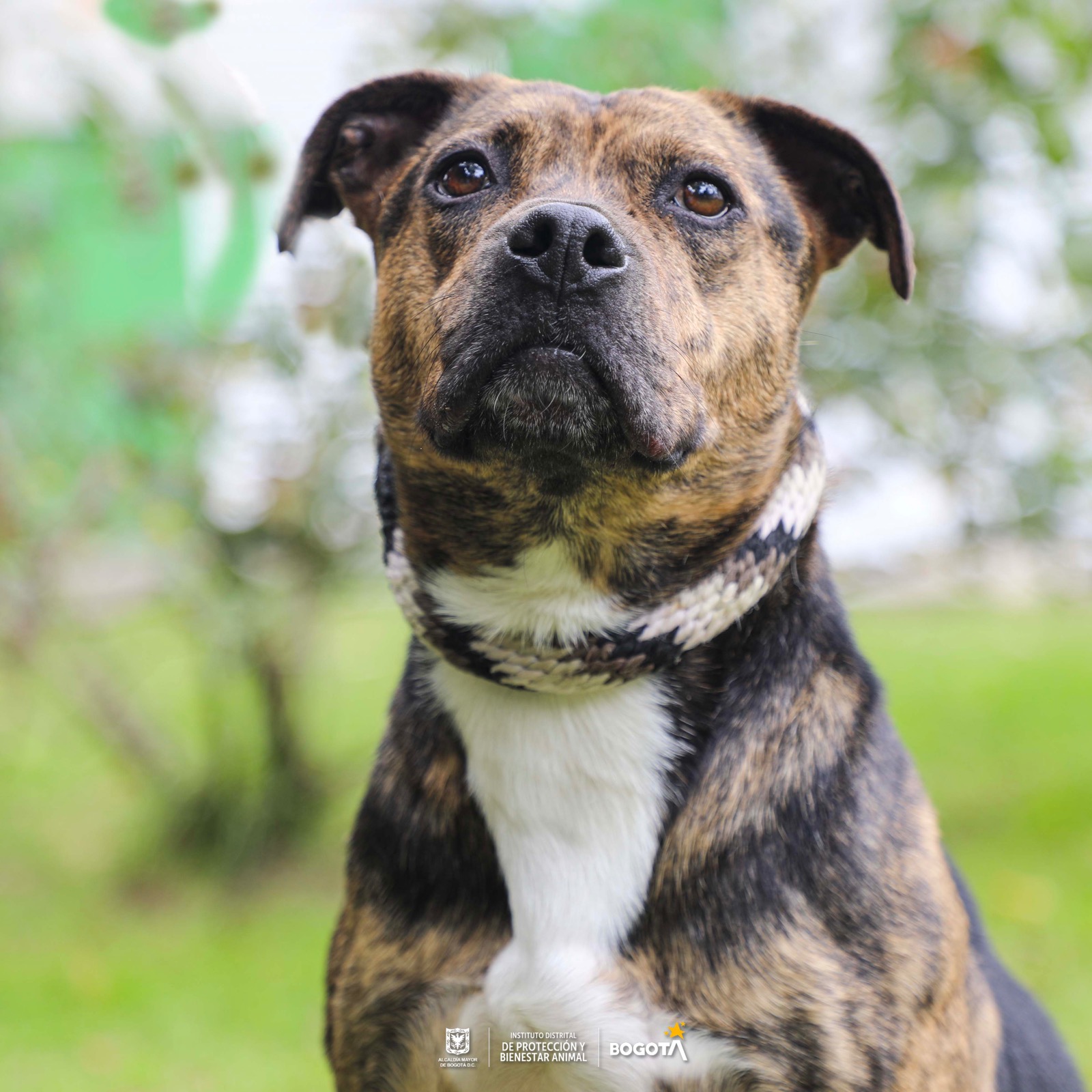 header home donacion