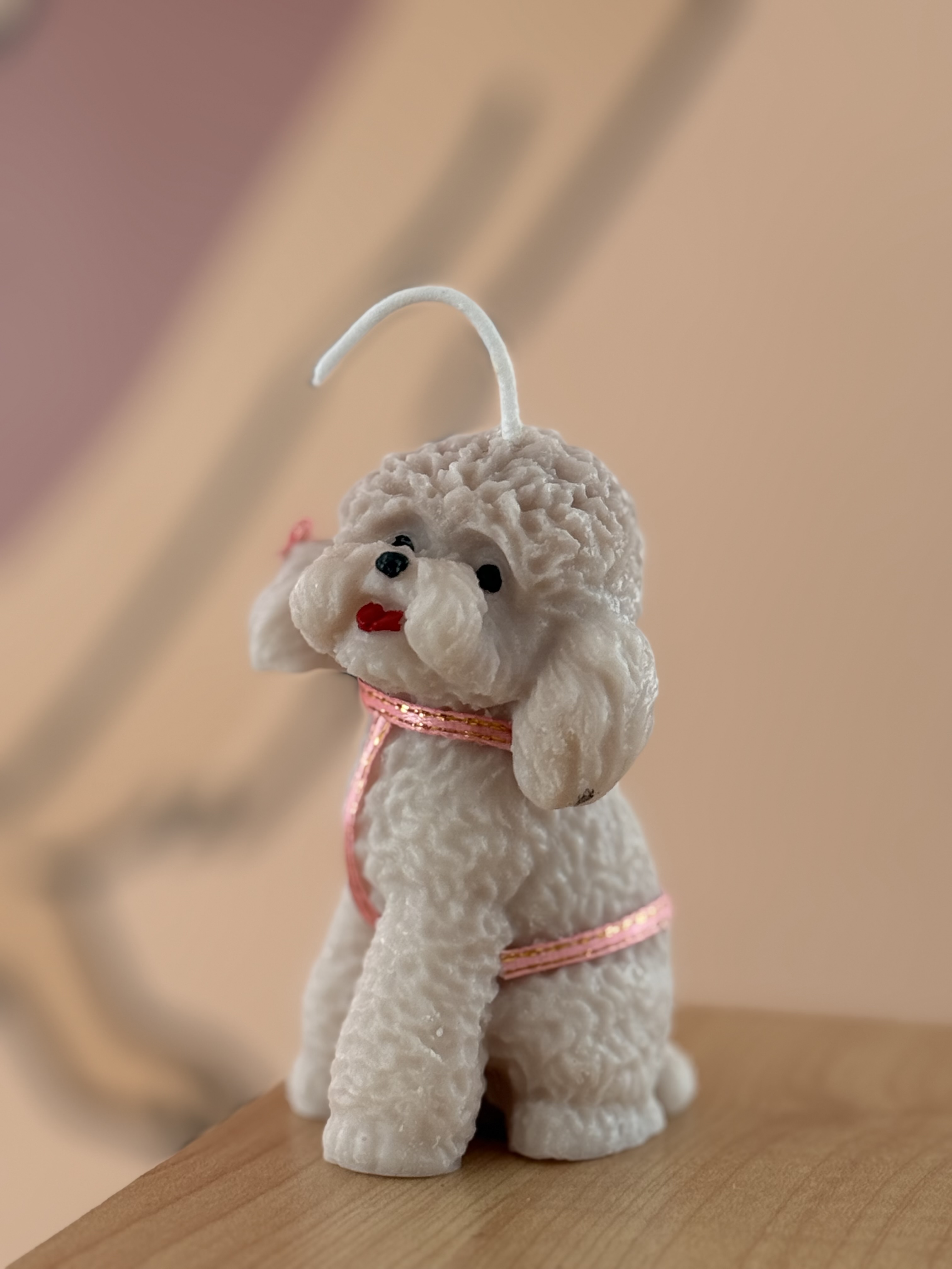 Vela poodle