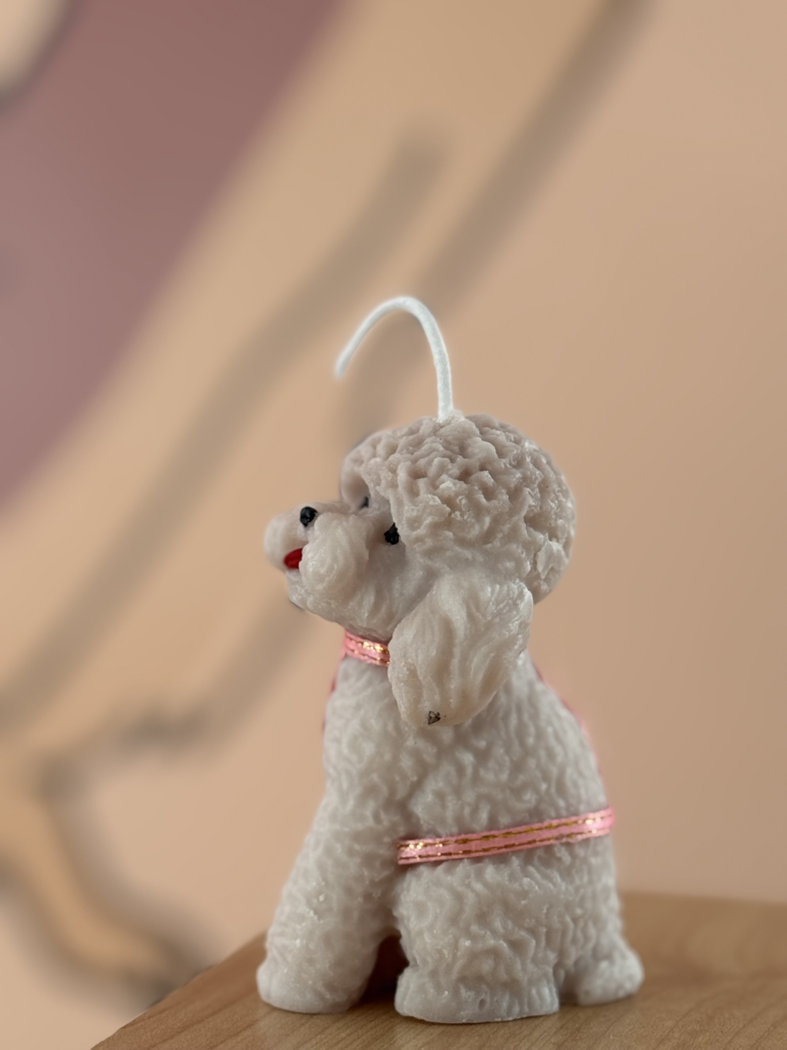 Vela poodle