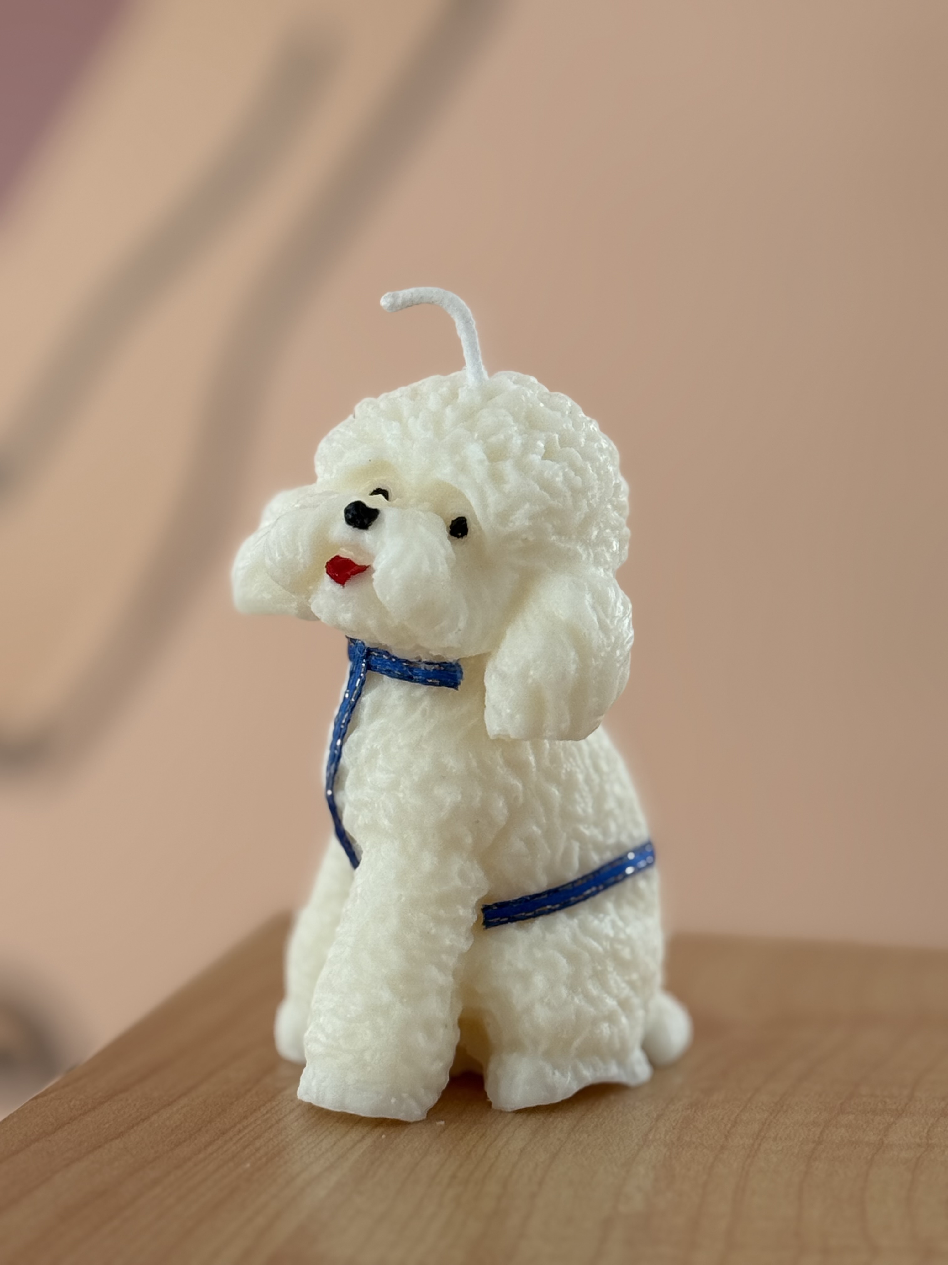 Vela poodle