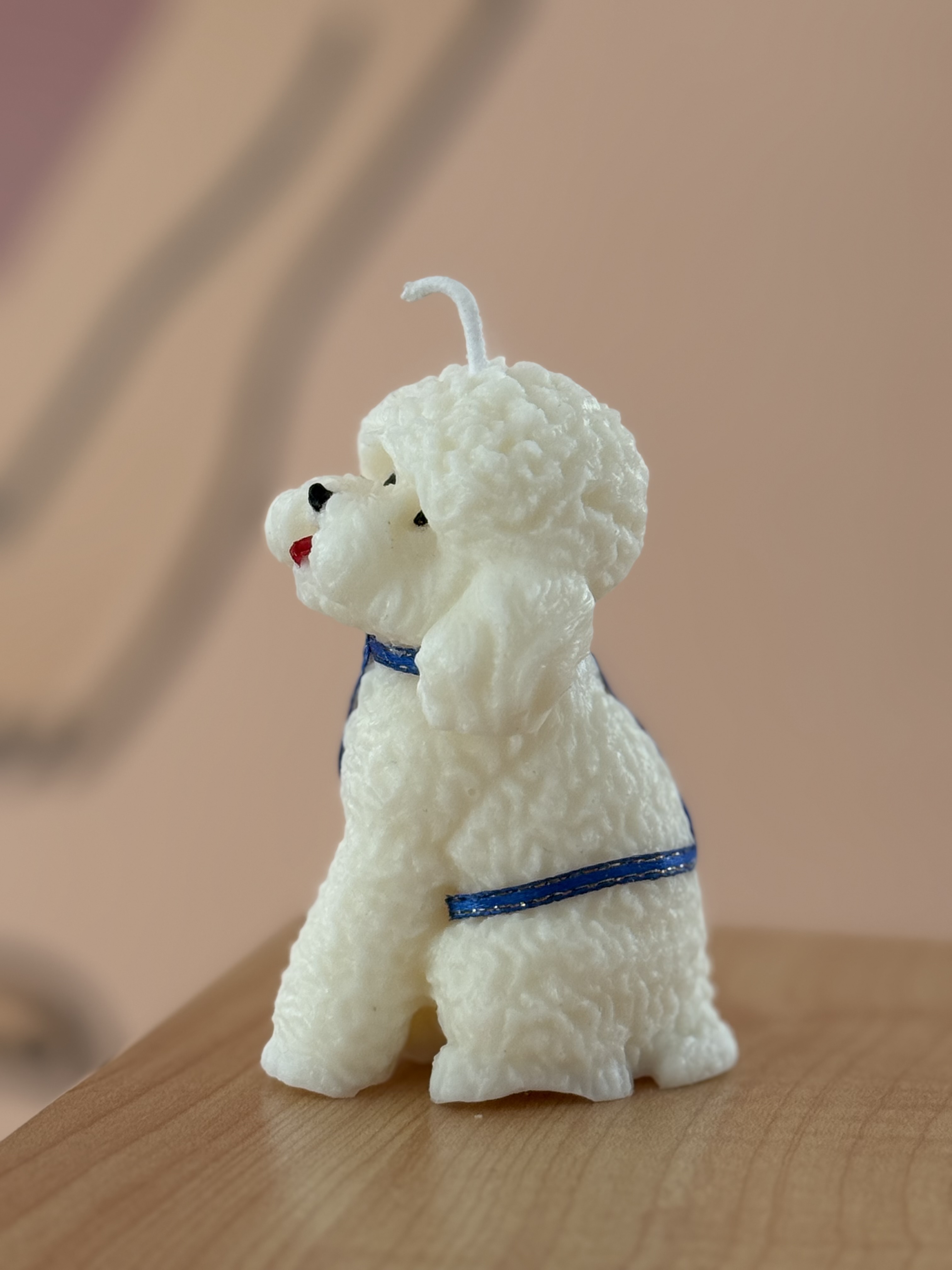 Vela poodle