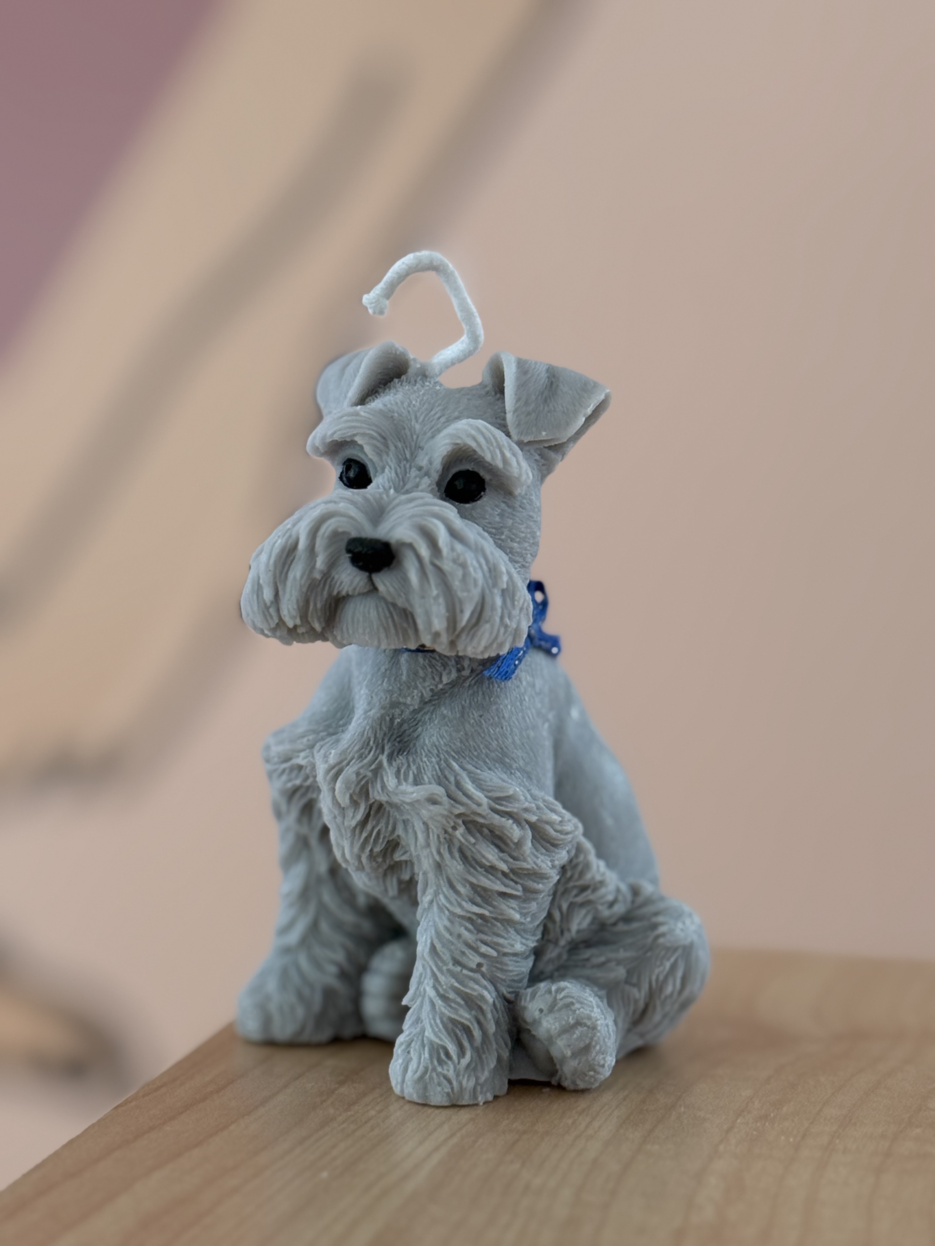 Vela schnauzer