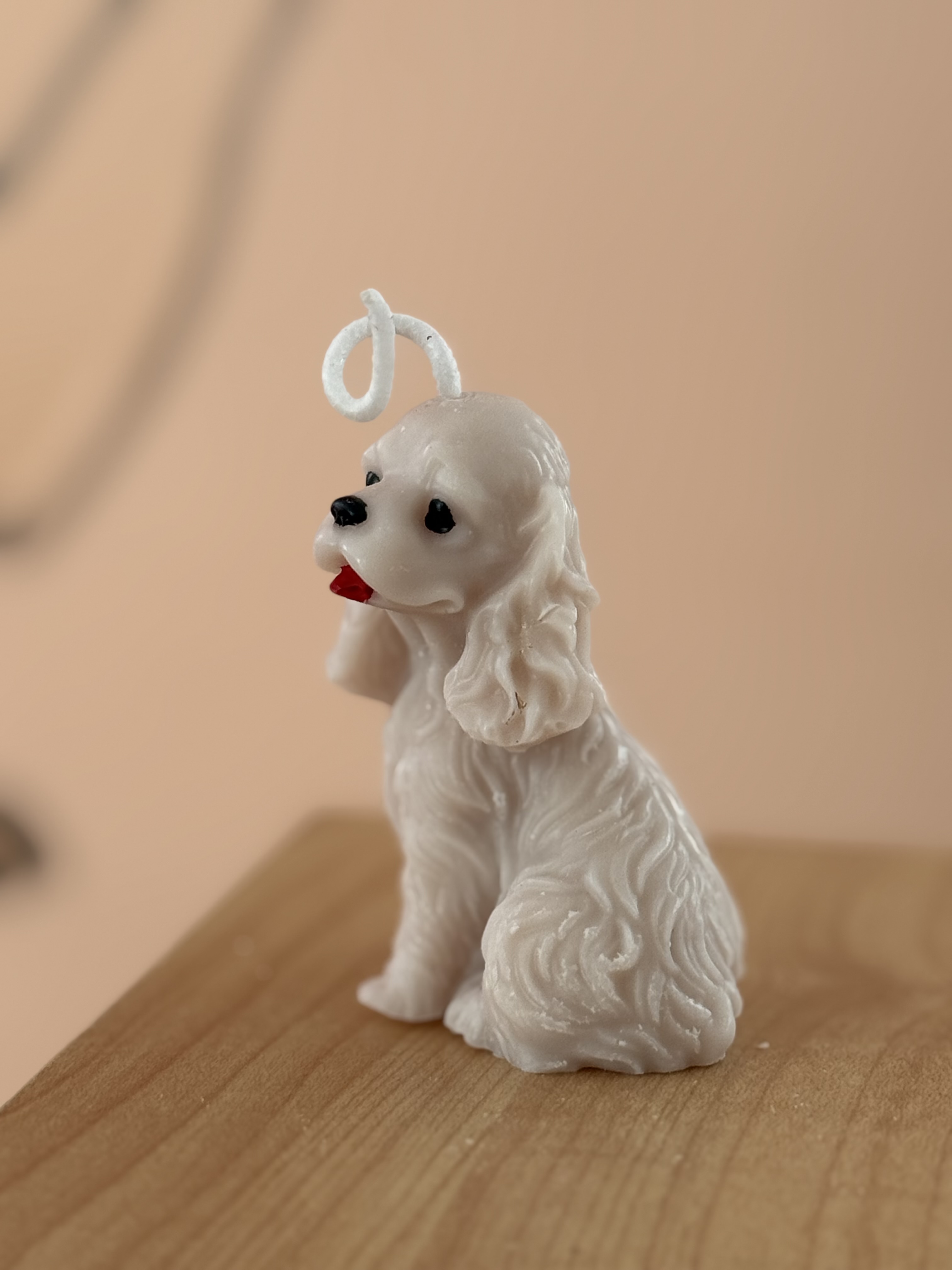 vela cocker spaniel