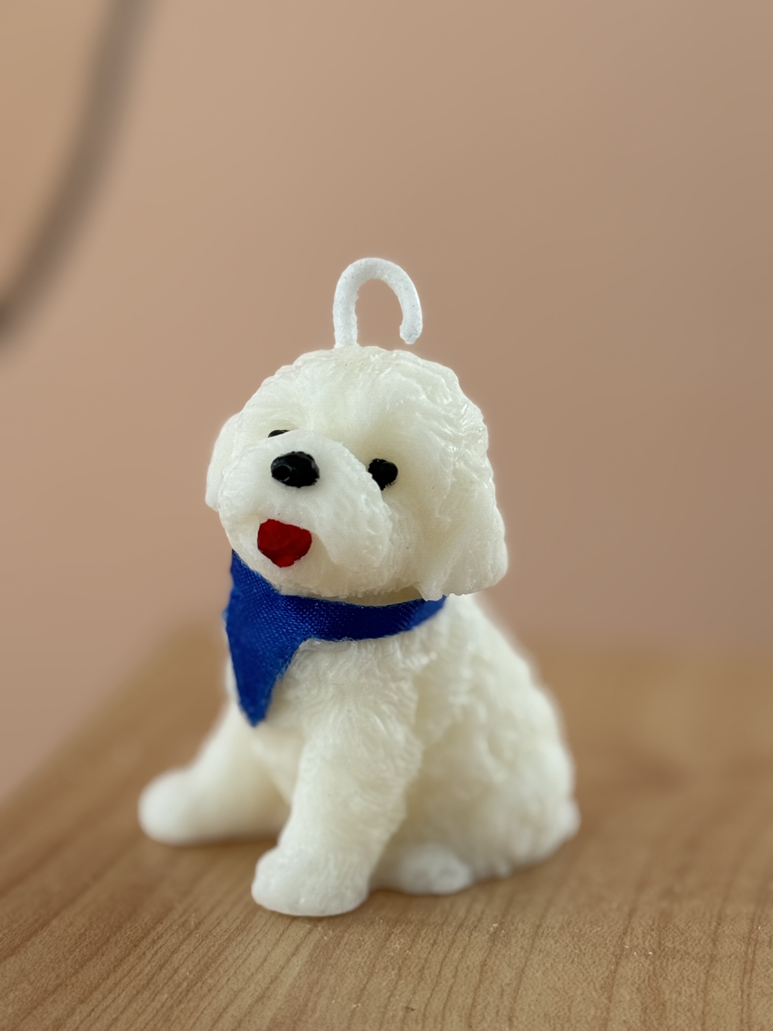 Vela poodle